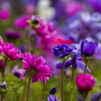 Accompagnement changement professionnel, personnel, déménagement, divorce, séparation, Lyon