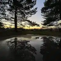 Soutien fin de vie deuil Lyon